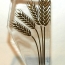 Gibeau, Custom Alberta Award on Cast Glass, Grain engraved in Gold
