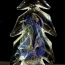Tree - Spruce, Northern Lights 5in - 8in $60 and up