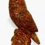 Owl, Great Horned