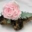 Peony on Driftwood - drfitwood may vary